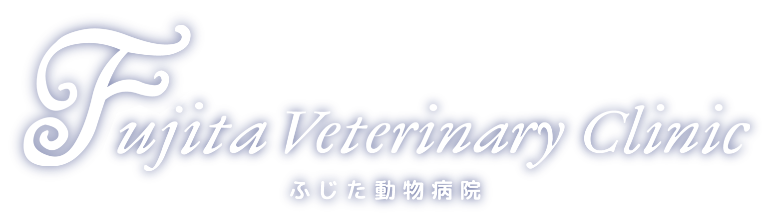 三豊市の動物病院・ふじた動物病院